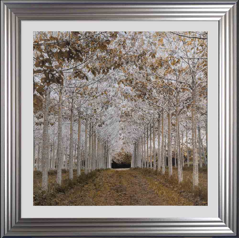 Tree Lined Picture In White gold