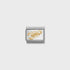 Nomination Gold Scorpio Charm