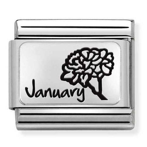 Nomination Composable January Flower Charm