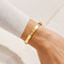 Joma Bracelet Bar Gold CZ Bangle