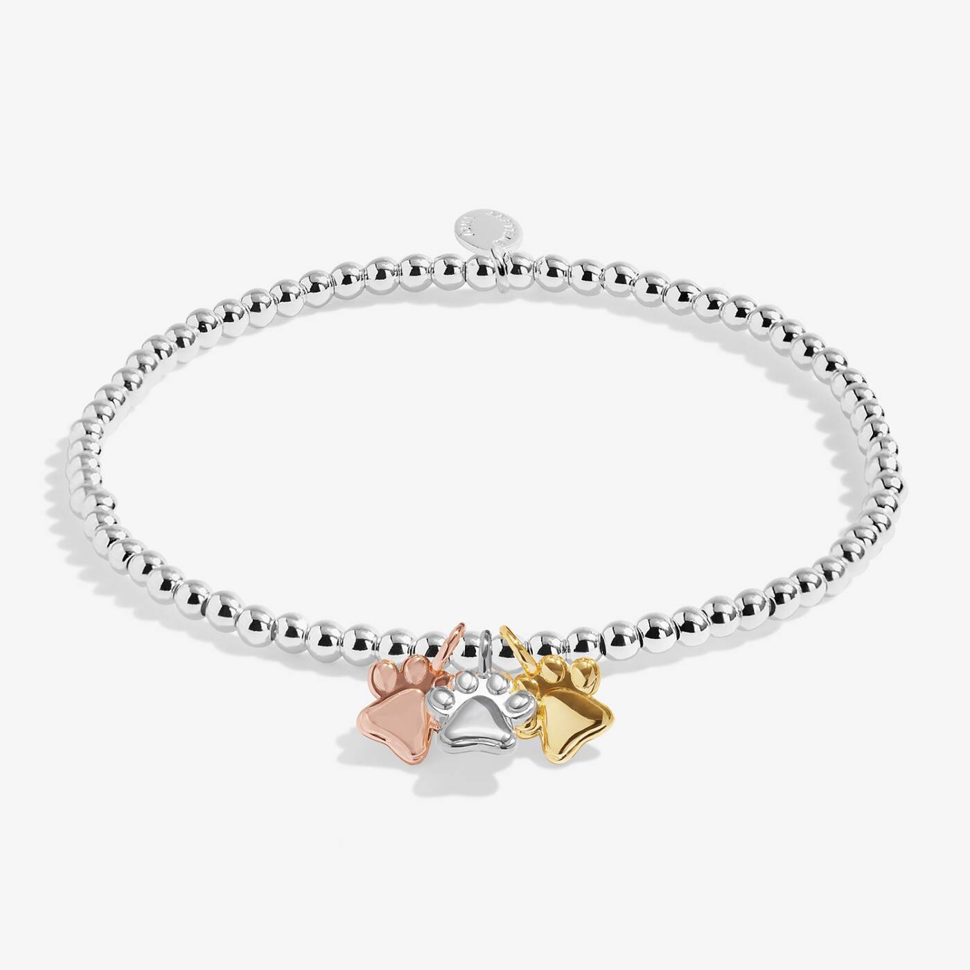 Joma A Little Charmed Moments Perfect Pawprint Bracelet