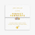 Joma A Little Charmed Moments Perfect Pawprint Bracelet