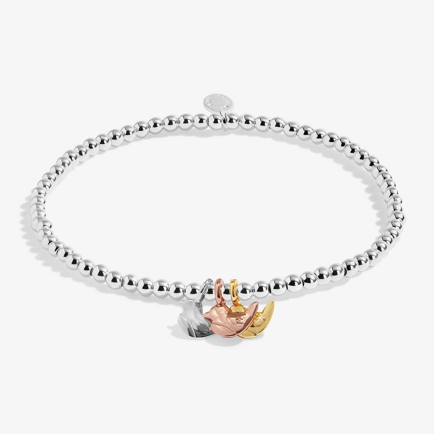 Joma A Little Charmed Moments Robins Appear When Loved Ones Are Near Bracelet