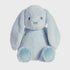 Ebba Dewey Rabbit Baby Sky Soft Toy 12.5 Inch By Aurora
