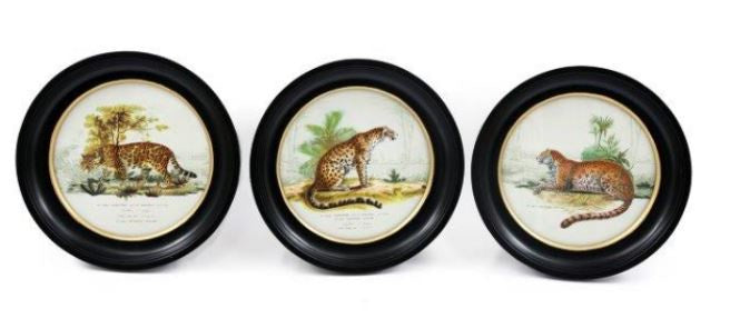 27 cm Leopard Round wall Picture Assorted Designs