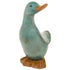 David's Aqua Duck Small