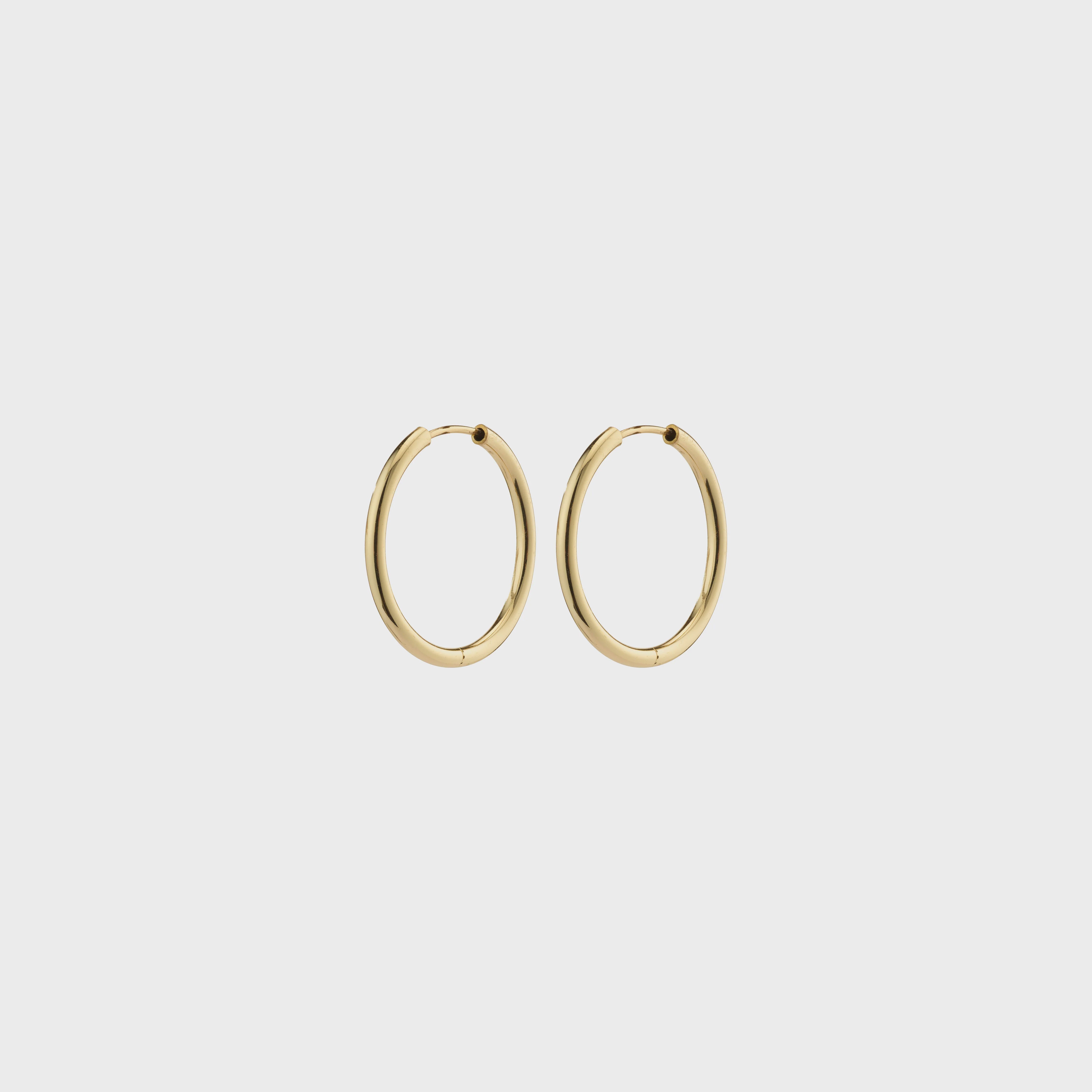 Pilgrim April Small Hoop Earrings Gold-Plated