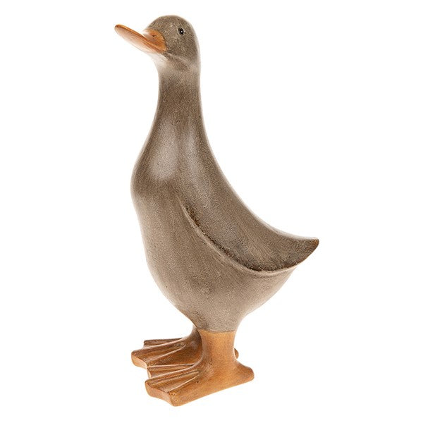 David's Mocha Duck Medium