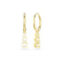 Swarovski Stilla Attract Gold Tone Drop Earrings