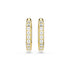 Swarovski Dextera Octagon Gold Tone Hoop Earrings