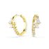 Swarovski Mesmera Crossover Gold Hoop Earrings