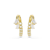 Swarovski Mesmera Crossover Gold Hoop Earrings