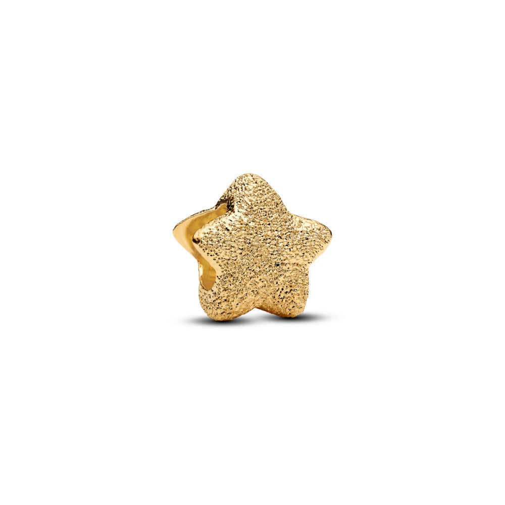 Pandora Textured Star Mini Charm