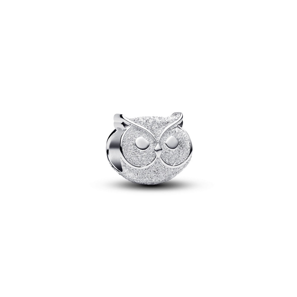 Pandora Textured Owl Mini Charm
