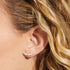 Joma Halo Pearl CZ & Pearl Gold Crawler Earrings