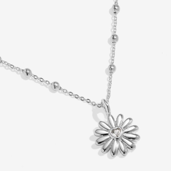 Joma Mother's Day A Little If Mums Were Flowers I'd Pick You Necklace