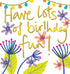 Have Lots of Birthday Fun Card