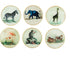 10cm Safari Glass Coasters Assorted Designs