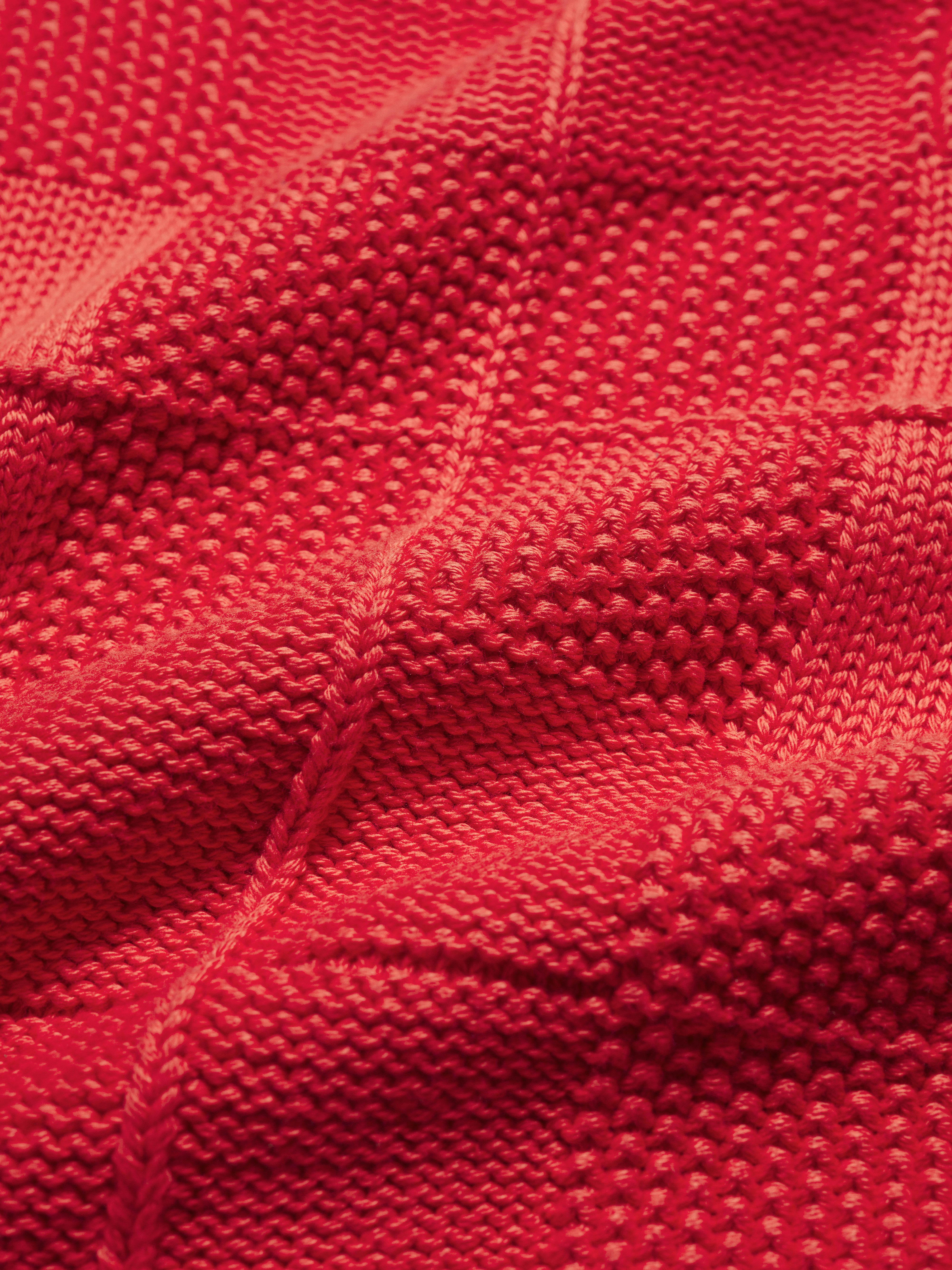 Seasalt Hedge Rock Jumper Cayenne