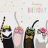 Party Cats By Portfolio Cards