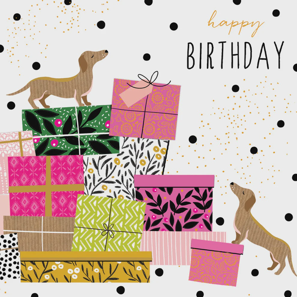 Birthday Dogs By Portfolio Cards