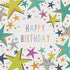 Birthday Stars By Portfolio Cards