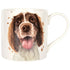 Licks & Kisses Springer Mug