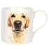 Licks & Kisses Golden Lab Mug