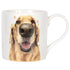 Licks & Kisses Golden Retriever Mug
