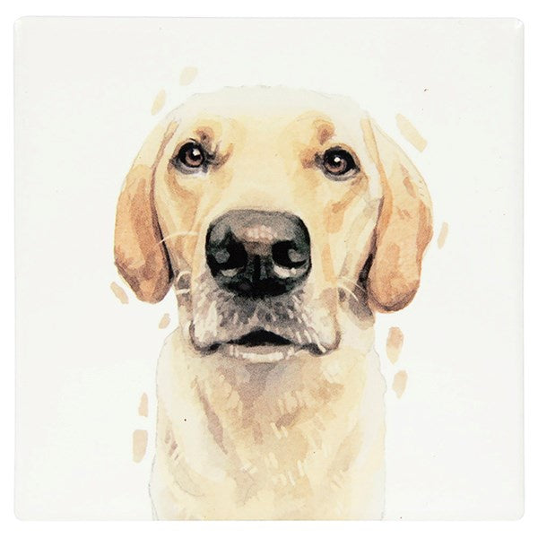 Licks & Kisses Golden Labrador Coaster