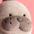 Jellycat Roarwell Sea Lion SEA2LN