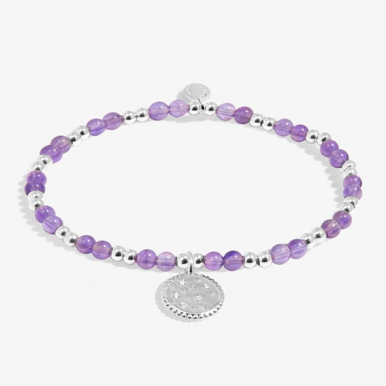 Joma Childen's Birthstone A Little February Bracelet