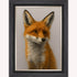 Curious Fox 1 Picture VGS Frame