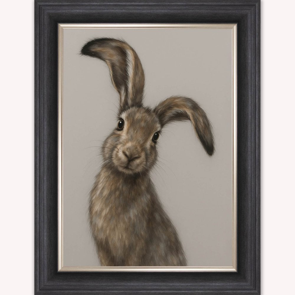 Curious Hare 1 Picture VGS Frame