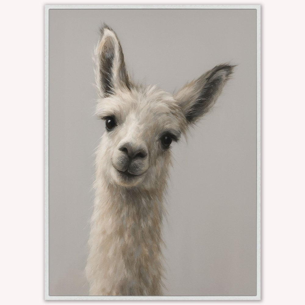 Small Llama Canvas Picture In White Frame