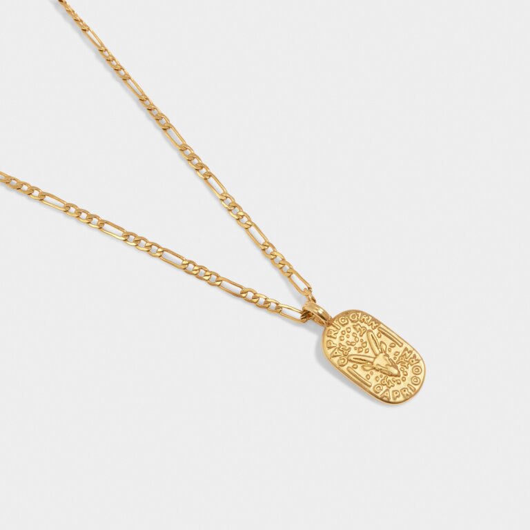 Katie Loxton Gold Capricorn Zodiac Necklace