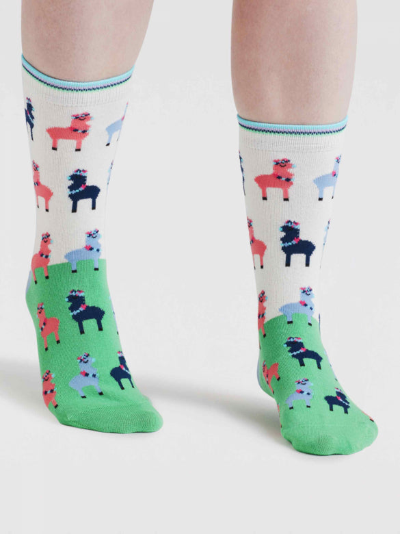 Thought Clara Rainbow Llama Organic Cotton Socks Apple Green 4-7