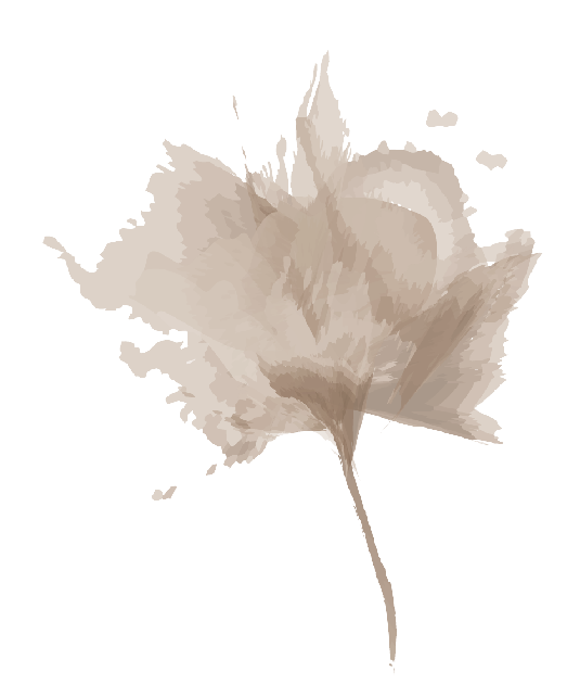 Fransa Francesca T-Shirt Savannah Tann Flower