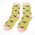 Miss Sparrow Little Sausage Dogs Socks Box  3 Pairs