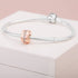 Pandora Rose Sparkling Row Clip Charm