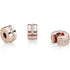 Pandora Rose Sparkling Row Clip Charm