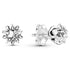 Pandora Star Stud Earrings 290023C01