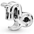 Pandora Zodiac Capricorn Birthday Charm 798423C01
