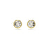 Swarovski Gold Tone Imber Round Cut Earrings