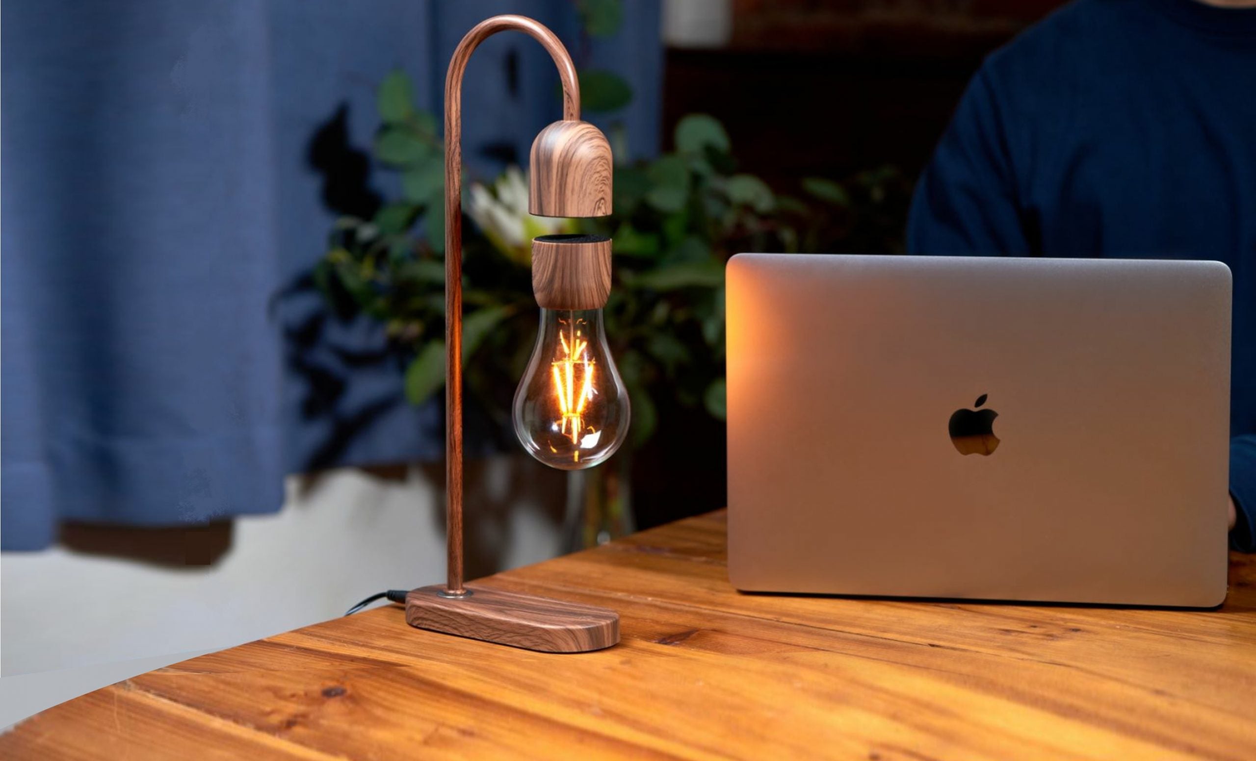 Evaro Teardrop LightBulb Lamp Walnut