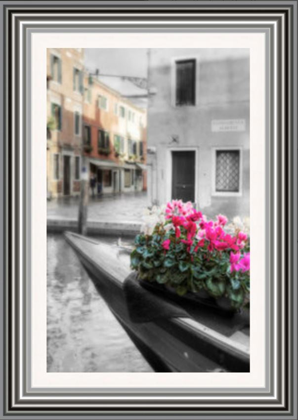 Canal Fiori Picture