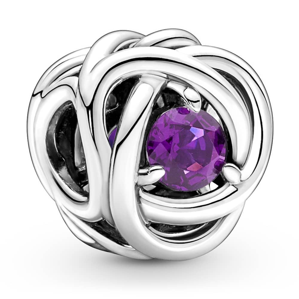Pandora February Birthstone Eternity Circle Charm 790065C02