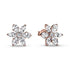 Pandora Rose Sparkling Herbarium Cluster Stud Earrings 282407C01